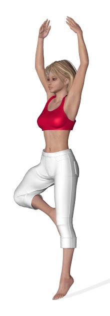 Gym_ poutre_attitude_ROUDNEFF.png